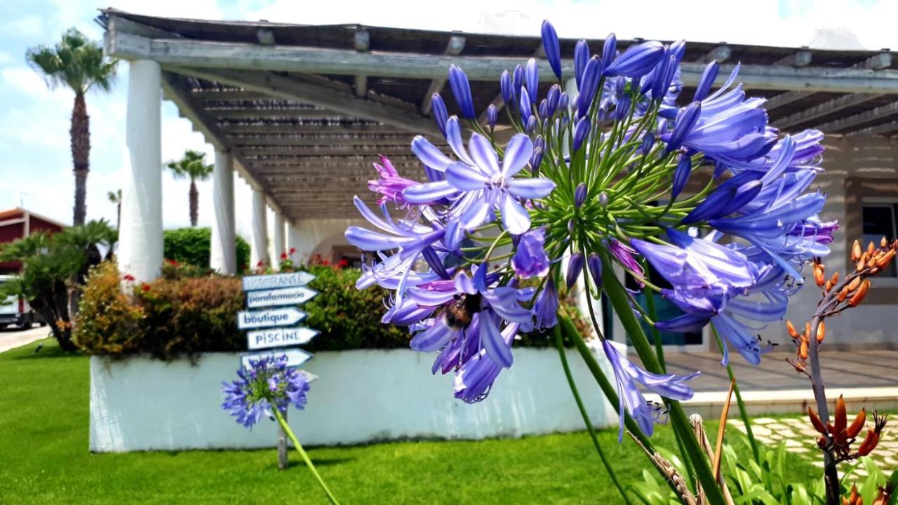 Blue Marine Apartment Pozzallo Buitenkant foto